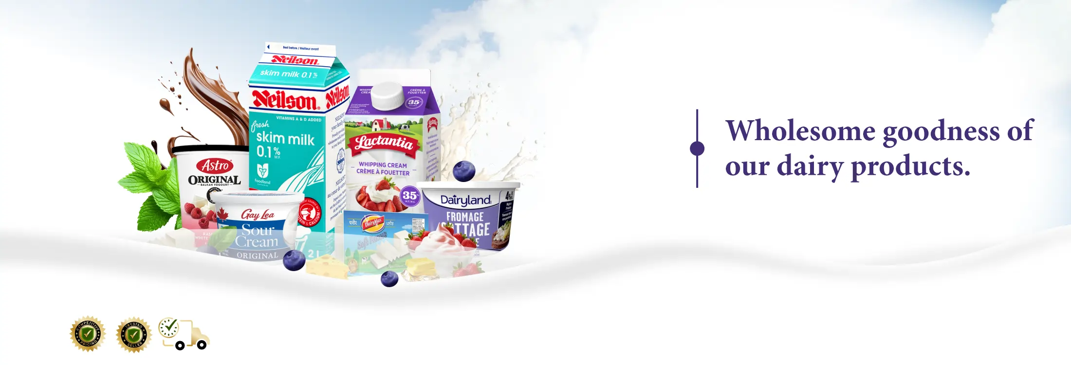 Home Page Banner 1 - Dairy Milk Products